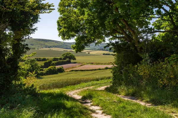 Looking Out South Downs Sunny Summers Day — Stock Photo, Image