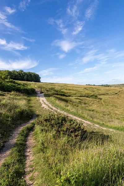 A chalk pathway in the South Downs, near Devil's Dyke in West Sussex