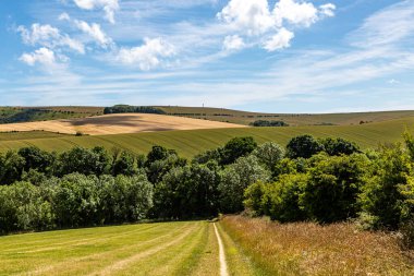 Güneşli bir yaz gününde Güney Tepeleri 'ne bakıyorum.