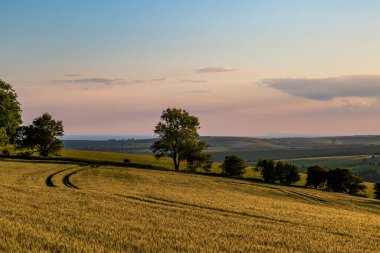 Gün batımında Ditchling Beacon 'ın yanındaki Güney Tepeleri' ne bakıyorum.