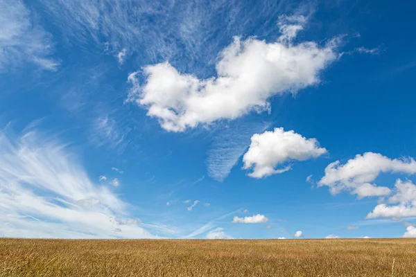Блакитне Небо Пухкі Хмари Над Полем Зернових Культур Сассексі — стокове фото