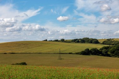 A rural Sussex landscape on a summer's day with a poppy field in the foreground