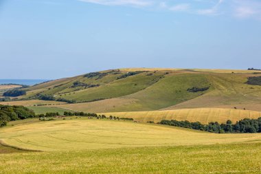 Uzaktaki deniz manzaralı Güney Tepeleri 'ne bakıyorum.
