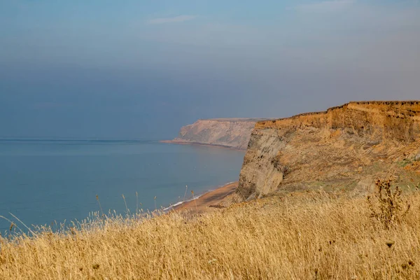 Early Morning View Cliffs Whale Chine Beach Looking Freshwater Bay — ストック写真