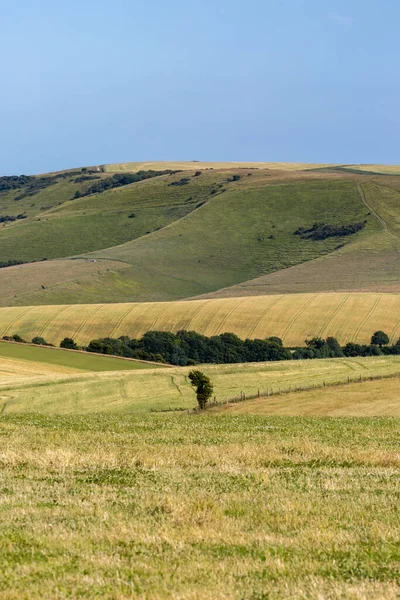 A rolling landscape in the South Downs on a sunny summer\'s day