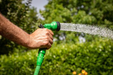 A garden being watered with a hosepipe
