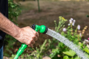 A man watering a garden with a hosepipe, during a dry summer in Sussex