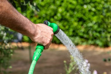 A man watering a garden with a hosepipe, during a dry summer in Sussex
