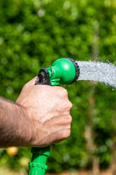 Garden Being Watered Hosepipe — 스톡 사진