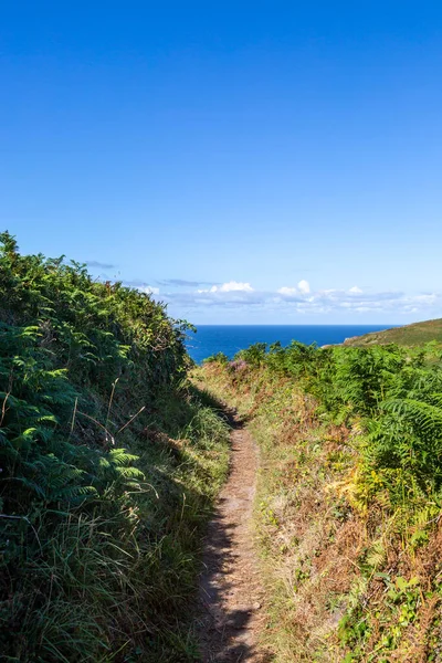 Looking Cornish Coastal Path Ocean Sunny Summer Day — Fotografia de Stock