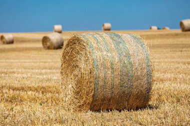 A close up of a hay bale in a field in Sussex, with a shallow depth of field