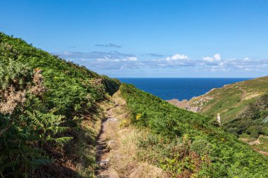 Looking along the coast path on the west of Cornwall, on a sunny summer's day