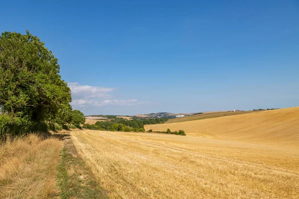 A rural Sussex farm landscape on a sunny day during a dry summer