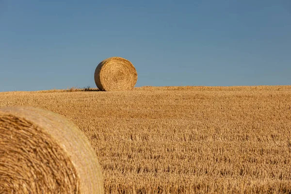 A rural South Downs summer landscape, with hay bales in a newly harvested field