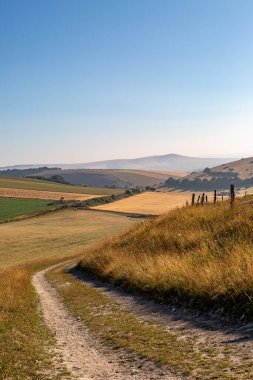 A pathway in the South Downs on a sunny summer's morning