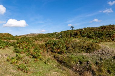 Güneşli bir Eylül gününde engebeli bir Dartmoor manzarası