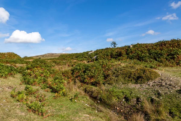 Paysage Accidenté Dartmoor Par Une Journée Ensoleillée Septembre — Photo