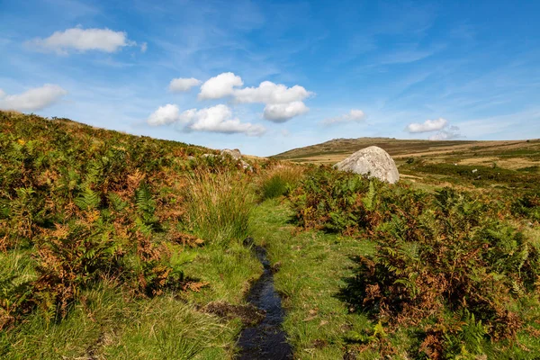 Een Ruig Dartmoor Landschap Een Zonnige September Dag — Stockfoto