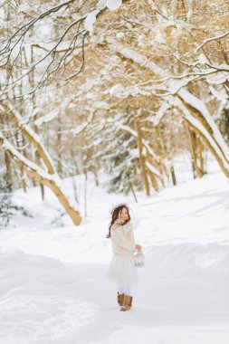 Muhteşem bir kız elinde bir fenerle orman yolunda yürüyor. Noel zamanı. Güneşli kış günü.