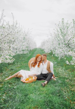 Piknik, bahar otlağında genç bir çift. Çiçek açan kiraz ağaçları sokağı.