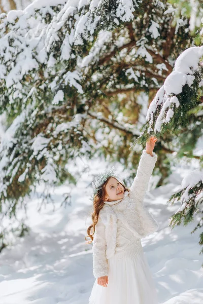 Mała Dziewczynka Drżenie Gałąź Drzewa Sosny Pokryte Śniegiem — Zdjęcie stockowe