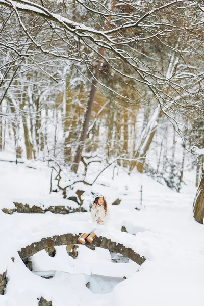 크리스마스 화환에 공원의 매력적 — 스톡 사진