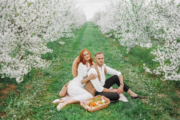 Piknik. Bahar çayırında sevimli bir çift. Çiçek açan kiraz ağaçları sokağı. Eski tarz. Meyve sepeti, hasır şapka.