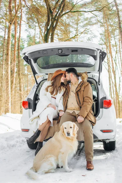 Güzel bir aile ve şirin bir köpek kış mevsiminde arabanın bagajında oturuyor.