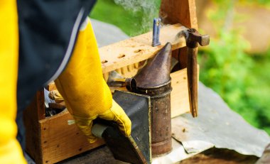 Bir arı yetiştiricisi arı bahçesindeki arı kovanlarını tek tek ayırıp dikkatlice inceleyerek kontrol eder.,