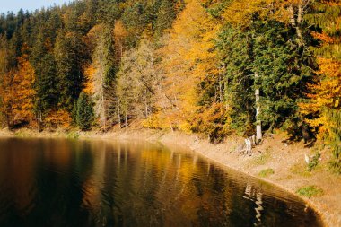 Güzel sonbahar manzarası. Göldeki renkli ağaçların yansıması.