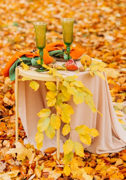 Autumn Picnic Nature Decorative Table Setting — Stock Photo, Image