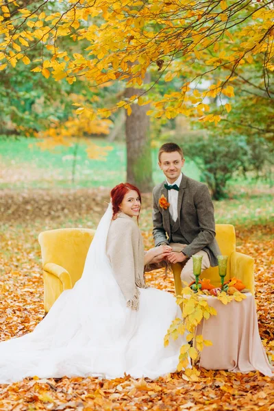 Novomanželé Sedící Měkkých Židlích Podzimním Parku — Stock fotografie