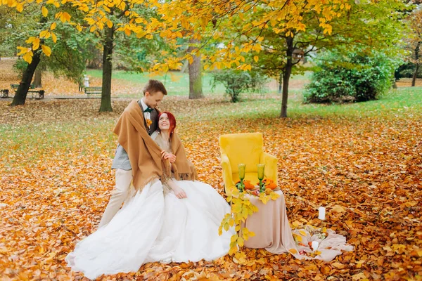 秋の公園の柔らかい椅子に座って素晴らしい新婚旅行 — ストック写真