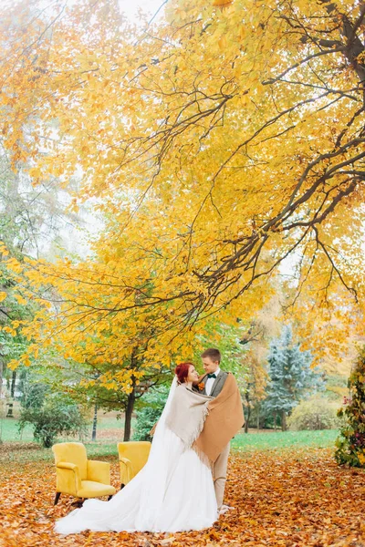 豪華な夫婦は背の高い黄色の木の下でお互いを抱き合って — ストック写真