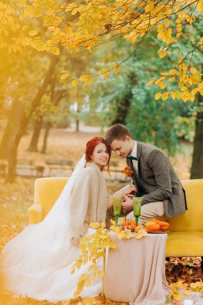 Los Recién Casados Sentados Sillas Blandas Parque Otoño —  Fotos de Stock