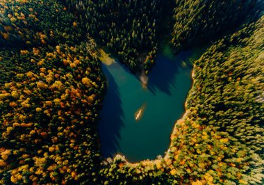 Üst Manzara. Dağ gölü olan bir sonbahar ormanı. Ada.