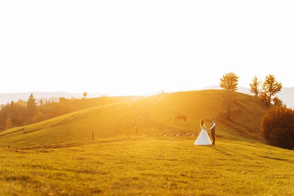 恋人同士の結婚式の新婚旅行山の裏側を歩く夕日 — ストック写真