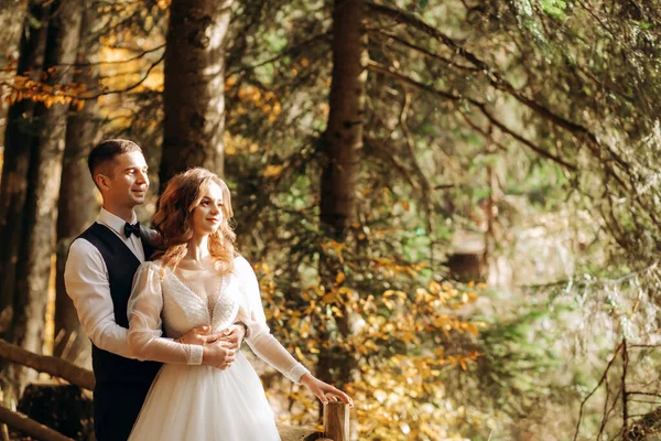 Noiva Noivo Perto Lago Nas Montanhas Casal Juntos Contra Pano — Fotografia de Stock