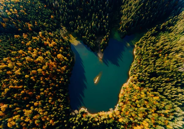 Üst Manzara. Dağ gölü olan bir sonbahar ormanı. Ada.
