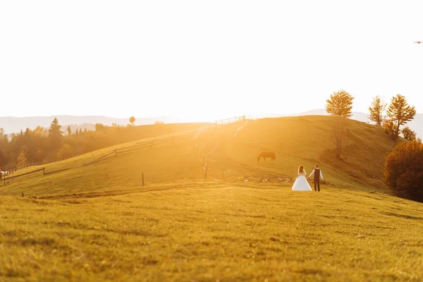 Ein Verliebtes Brautpaar Beim Wandern Auf Der Bergkulisse Sonnenuntergang — Stockfoto