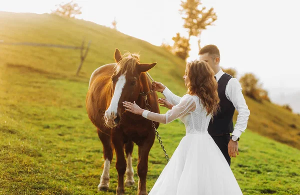 Heureux Jeunes Mariés Caressant Cheval Sur Une Colline Montagne — Photo