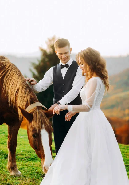 Šťastní Novomanželé Hladí Koně Horském Kopci — Stock fotografie