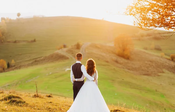 Wedding Couple Standing Embracing Hill Meadow Enjoys View Summer Sunset — Stock Photo, Image