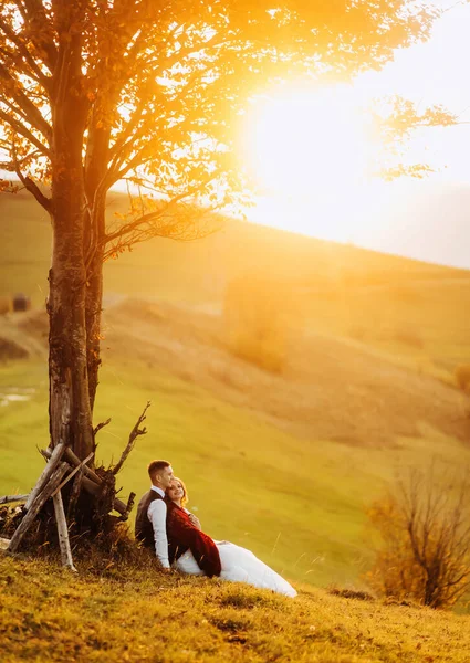 Úžasný Pár Vychutnat Podzimní Krajinu Sedí Pod Stromem Při Západu — Stock fotografie