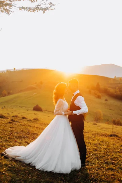 Adorables Recién Casados Paran Uno Frente Otro Tomados Mano Sobre —  Fotos de Stock