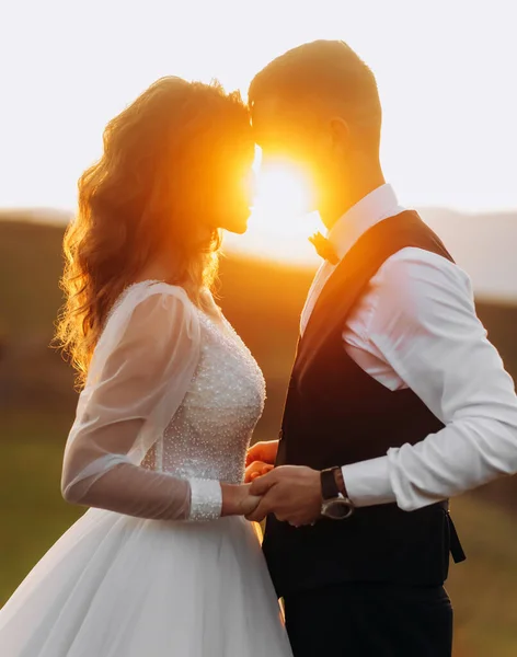 Los Recién Casados Tiernos Están Pie Uno Frente Otro Tomados —  Fotos de Stock