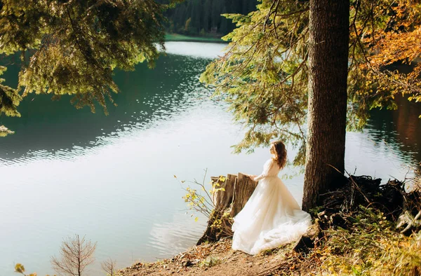 Noiva Elegante Posa Perto Uma Árvore Lago Montanha — Fotografia de Stock