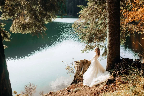 素晴らしい花嫁は山の湖の木の近くにポーズ — ストック写真