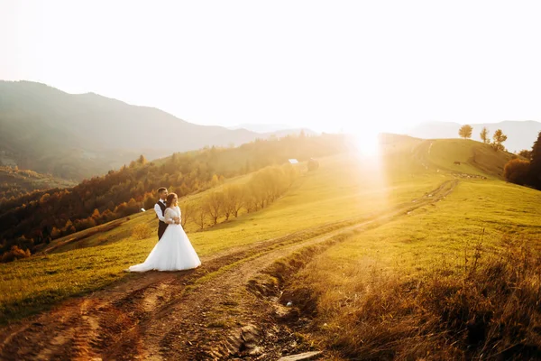 Wedding Couple Walking Green Hill Newlyweds Enjoying Romantic Moments Mountains — Stock Photo, Image