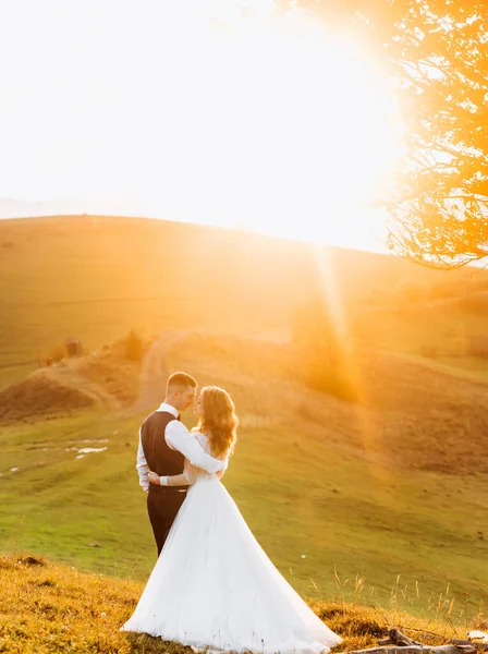 Recién Casados Abrazándose Cima Una Montaña Atardecer —  Fotos de Stock